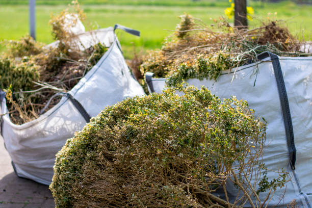 Same-Day Junk Removal Services in Reinbeck, IA